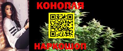 PSILOCYBIN Беслан