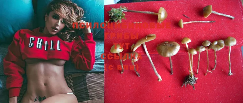 Псилоцибиновые грибы MAGIC MUSHROOMS  Джанкой 