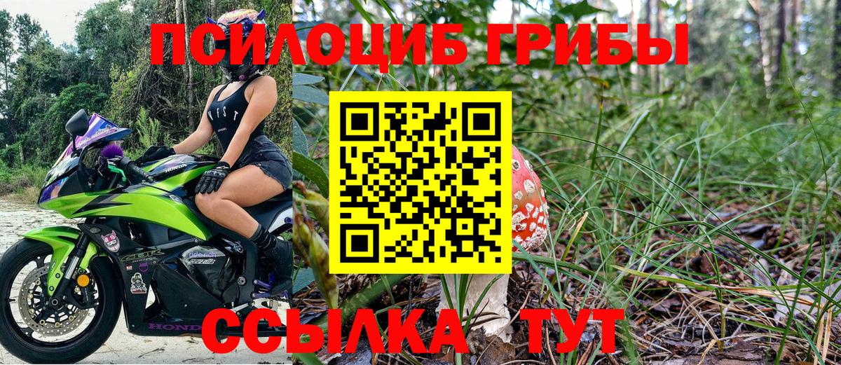 Псилоцибиновые грибы мицелий Джанкой
