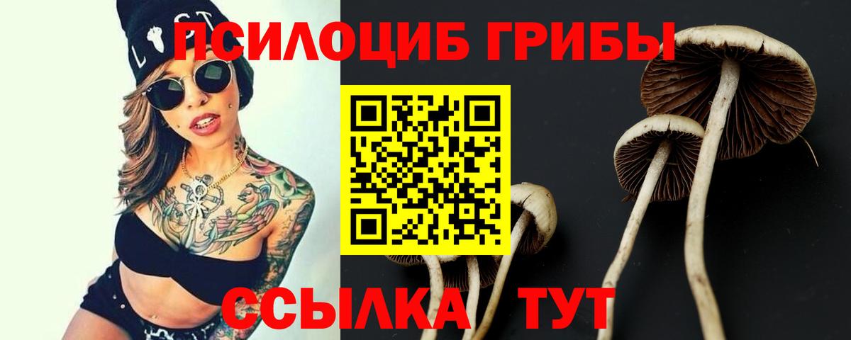 Псилоцибиновые грибы ЛСД  Галлюциногенные грибы Psilocybe  Джанкой 